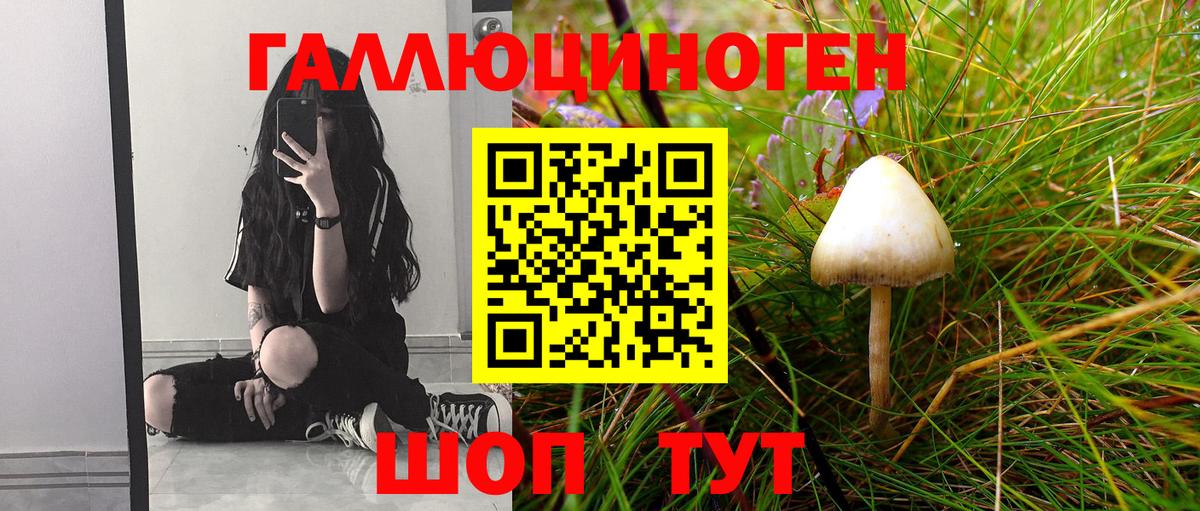 Псилоцибиновые грибы Magic Shrooms Саров